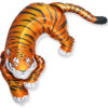 Wild tiger folie 24"