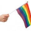 Rainbow håndflagg 6 pk
