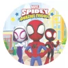 Kakebilde Wafer Spidey 20cm