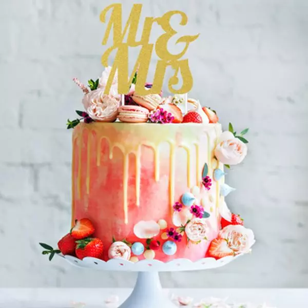 Mr & Mrs kaketopp gull