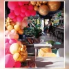 Balloon arch kit premium rosa