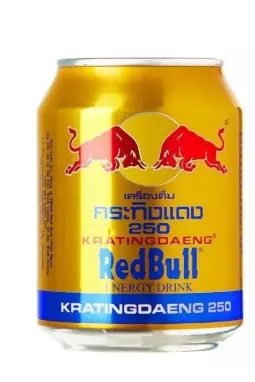 RED BULL ENERGY DRINK (ASIAN) 250ml