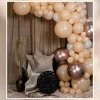 Balloon Arch Kit - Blush