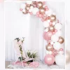 Balloon Arch Kit - Rose Gold