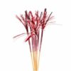 Folie drinkpicks rosegull 10pk