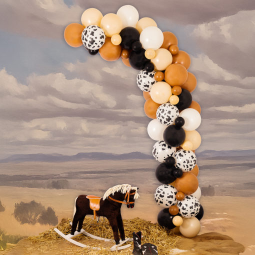 Ballongbue kit Wild west