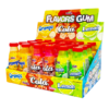 Flavors gum 10g