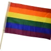 Pride bilflagg 2pk