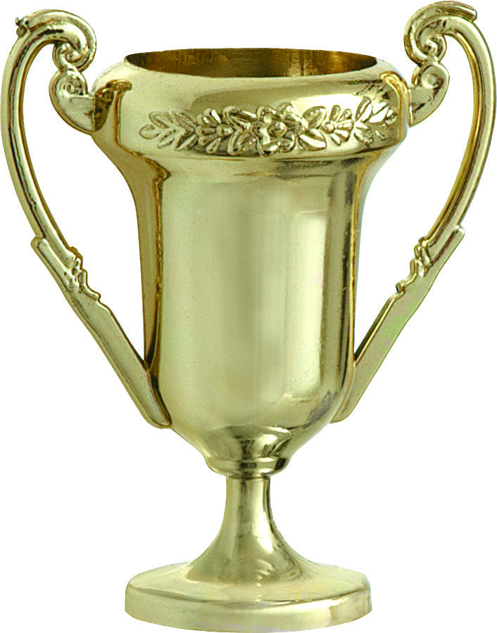 4 stk trofeer mini