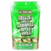 BLISS LIFE FREEZE DRIED CARAMEL APPLE BITES 43g