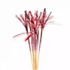 Foliepicks rosegull 10 pk