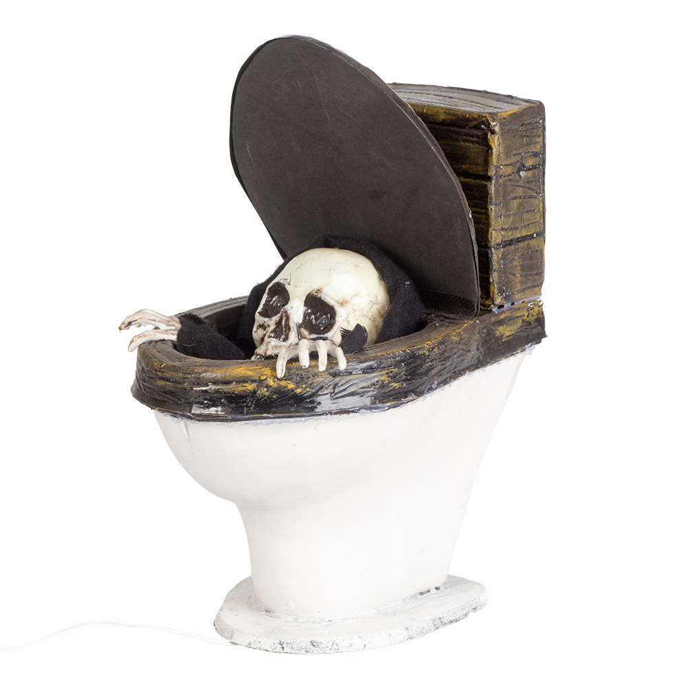 Toilet reaper