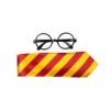 Harry Potter sett slips og briller
