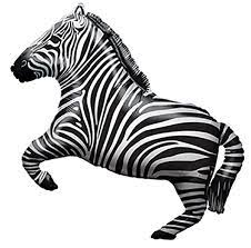 Zebra folie