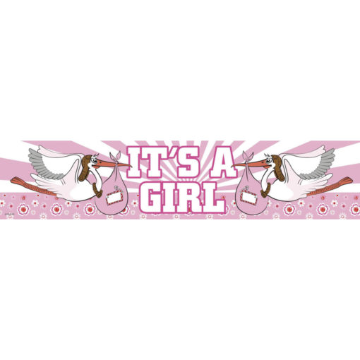 Birth Girl Foil Banner - 2.5 m x 11 cm