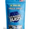 Freeze dried bliss blue raspberry blasts