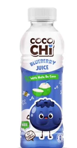 COCOCHI BLUEBERRY JUICE NATA DE COCO 450ml