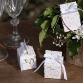 gallery-573-for-7953