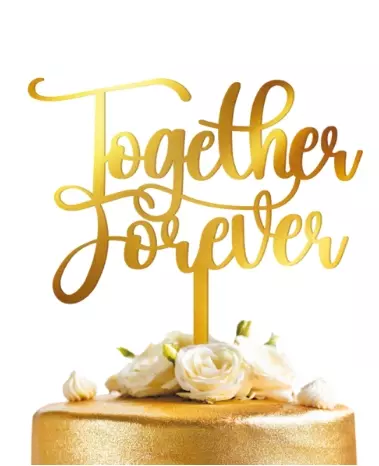 Together forever kaketopp gull