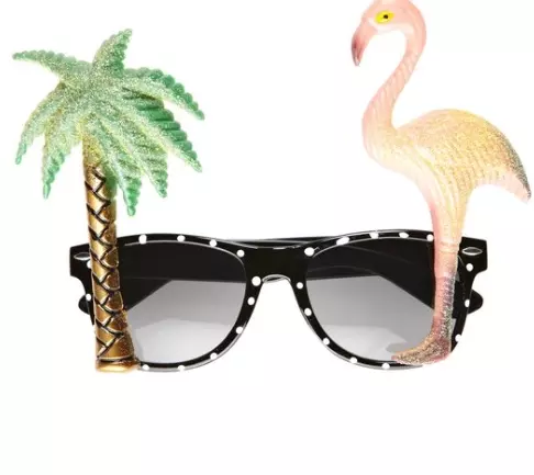 Flamingo tropical solbriller