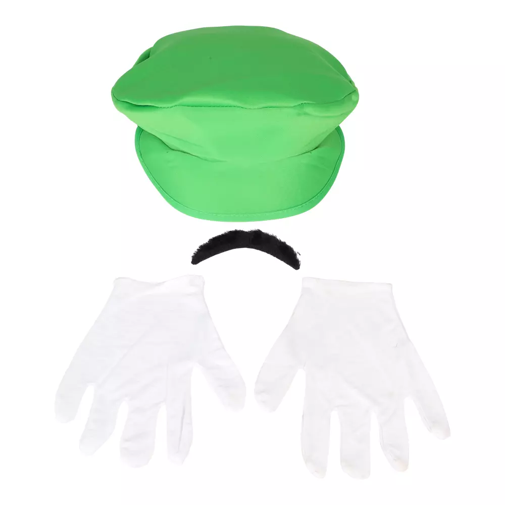 Super Mario Luigi dress up kit