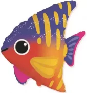 Happy fisk folie 65cm