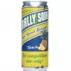 Rally Soda Turbo Tropic 330ml