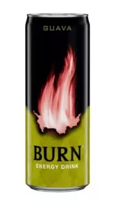 BURN GUAVA 25CL