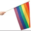 Rainbow hand flag 30x40 cm
