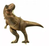 Jurrasic world dinosaur ballong 92x98 cm