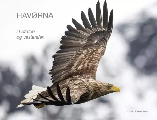 HAVØRNA I LOFOTEN OG VESTERÅLEN