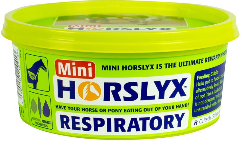 HORSLYX RESPIRATORY
