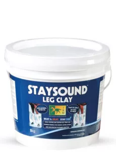 STAYSOUND – LEG CLAY 1,5 Kg