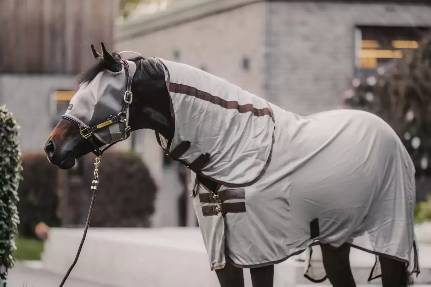 Kentucky Mesh Fly Rug Classic