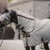 Kentucky Mesh Fly Rug Classic