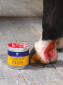 CDM Protection plus 500 ml