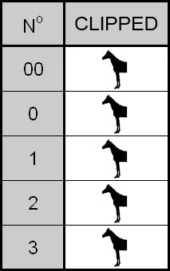 gallery-4336-for- 66108200