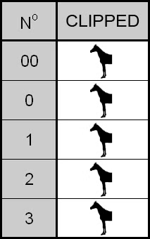 gallery-4336-for- 66108200