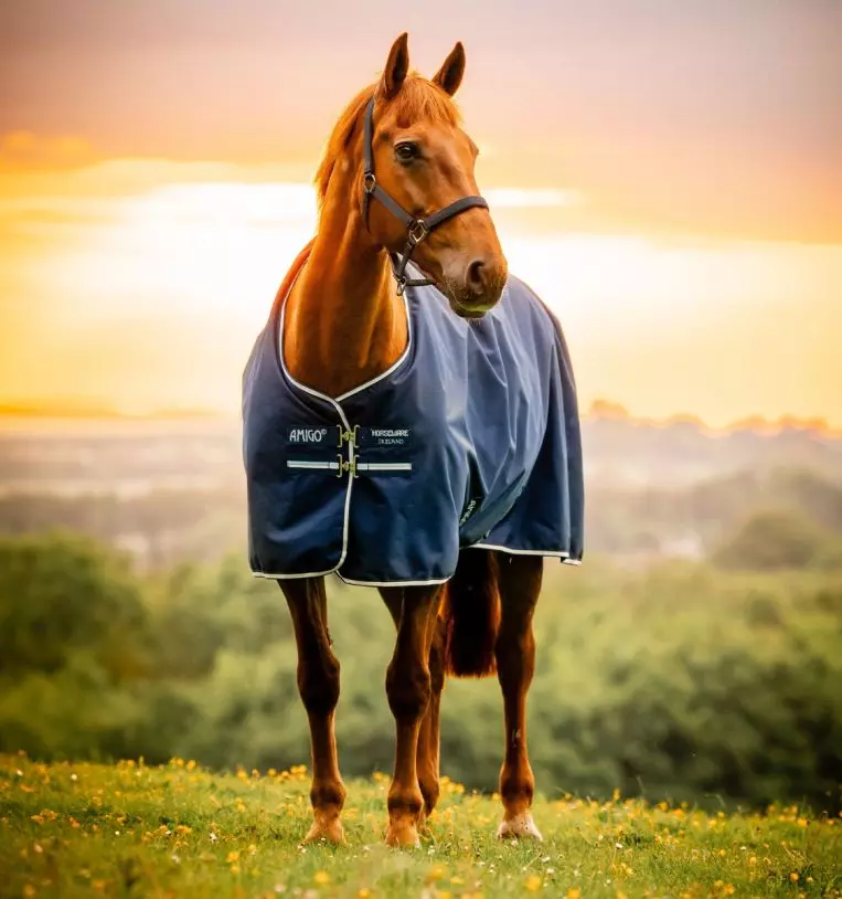 Amigo® Ripstop 900D Fleece Lined Turnout 50g Ikke med hals