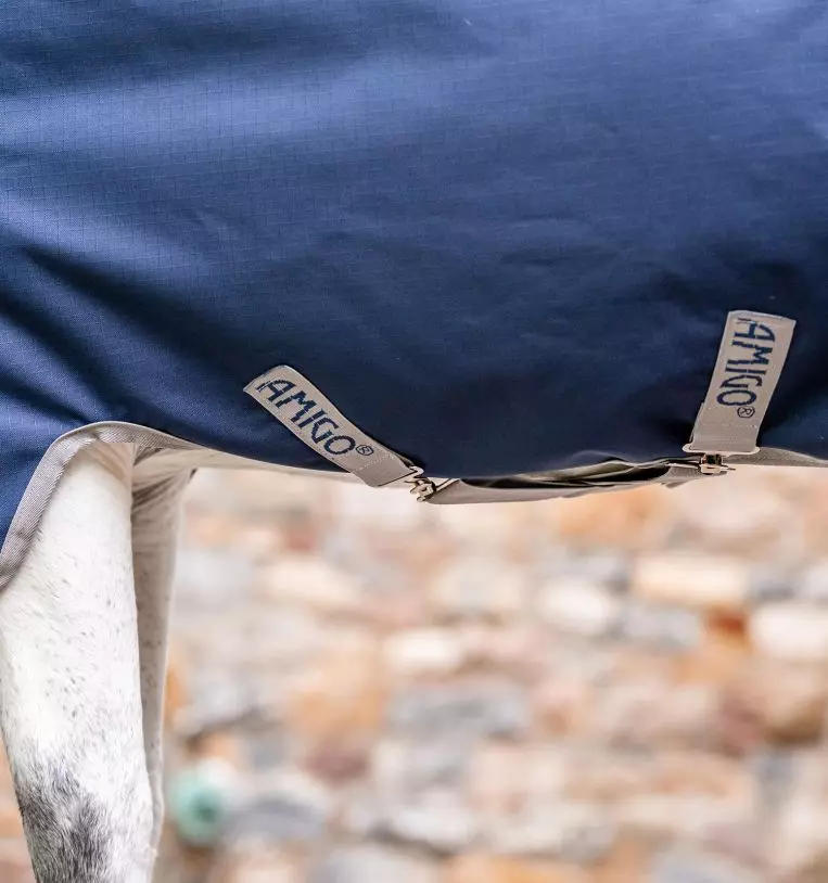 gallery-4346-for- AARAGF-VRKB