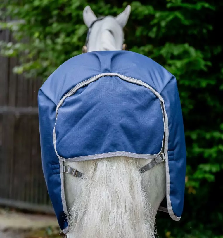 gallery-4347-for- AARAGF-VRKB