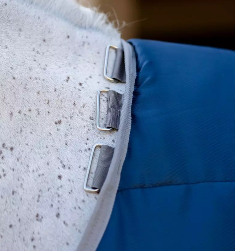 gallery-4349-for- ABRDB1-BJJ0