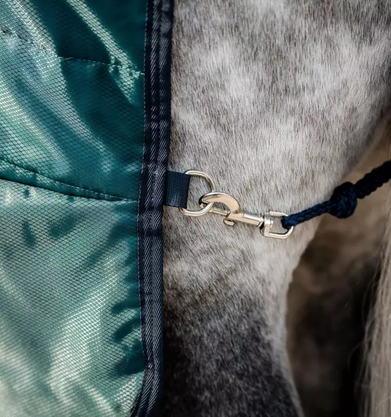 gallery-4377-for-ABRDM2-KK10