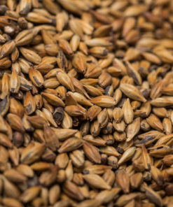 spelt malt beersmith spelt malt beersmith