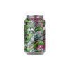 Cervisiam Salty Surprise Gose 0,33l bx