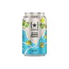 Lervig Salt n' Lime Summer Pilsner Lite 0,33l bx