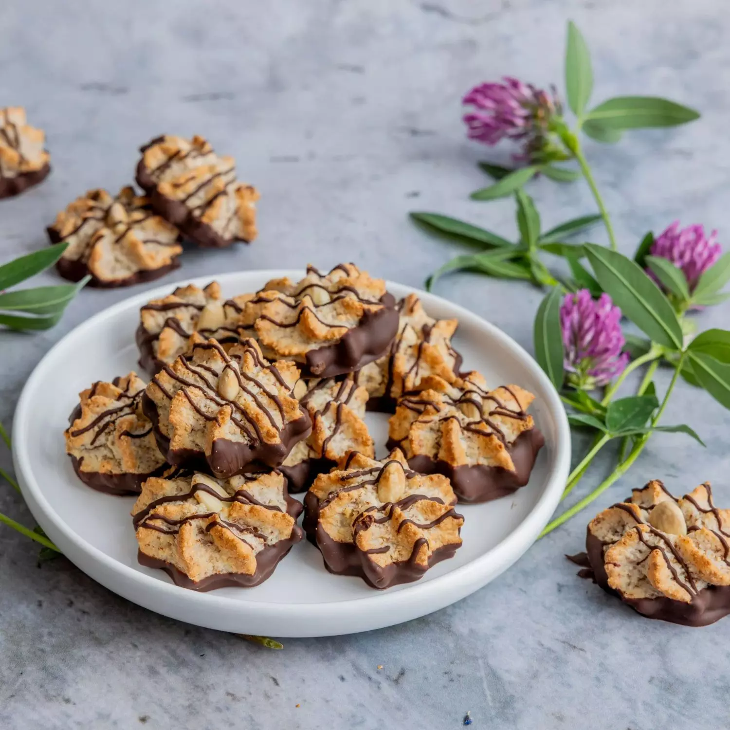 gallery-16-for-477033