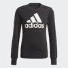 Adidas G Bl Swt