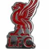 Liverpool crest badge pin