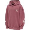 Hummel  Hmldue Hoodie jr